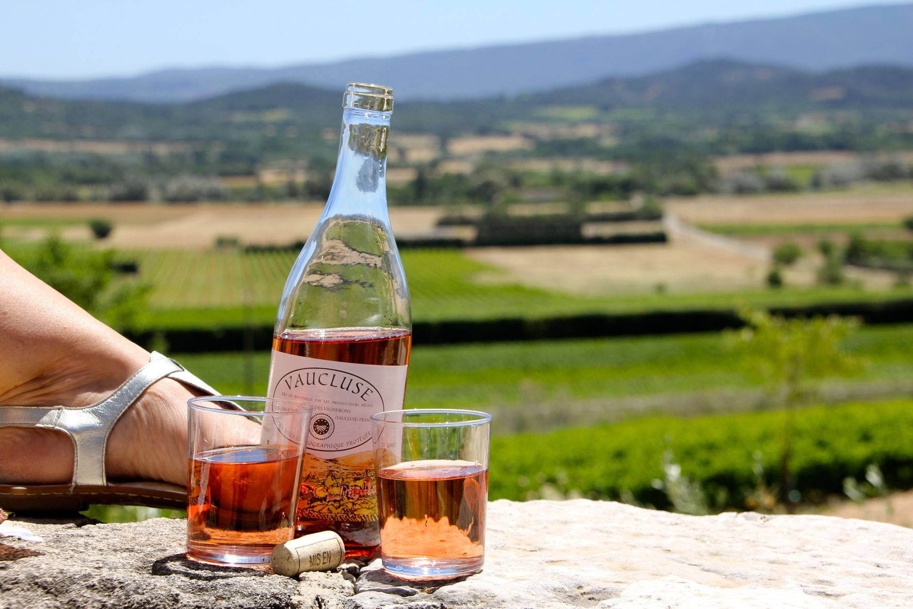 Guide accompagnant un petit groupe dans un vignoble